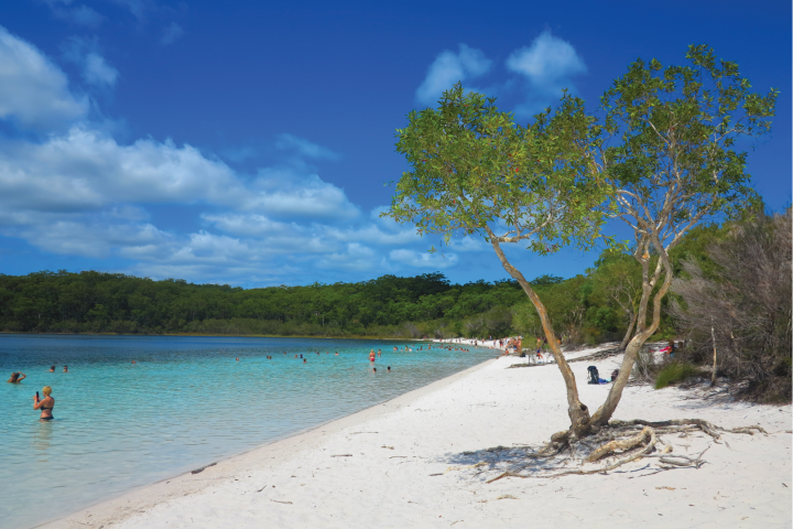 Tranquil beach with clear blue water, white sand, and a tree, people swimming in the background.
