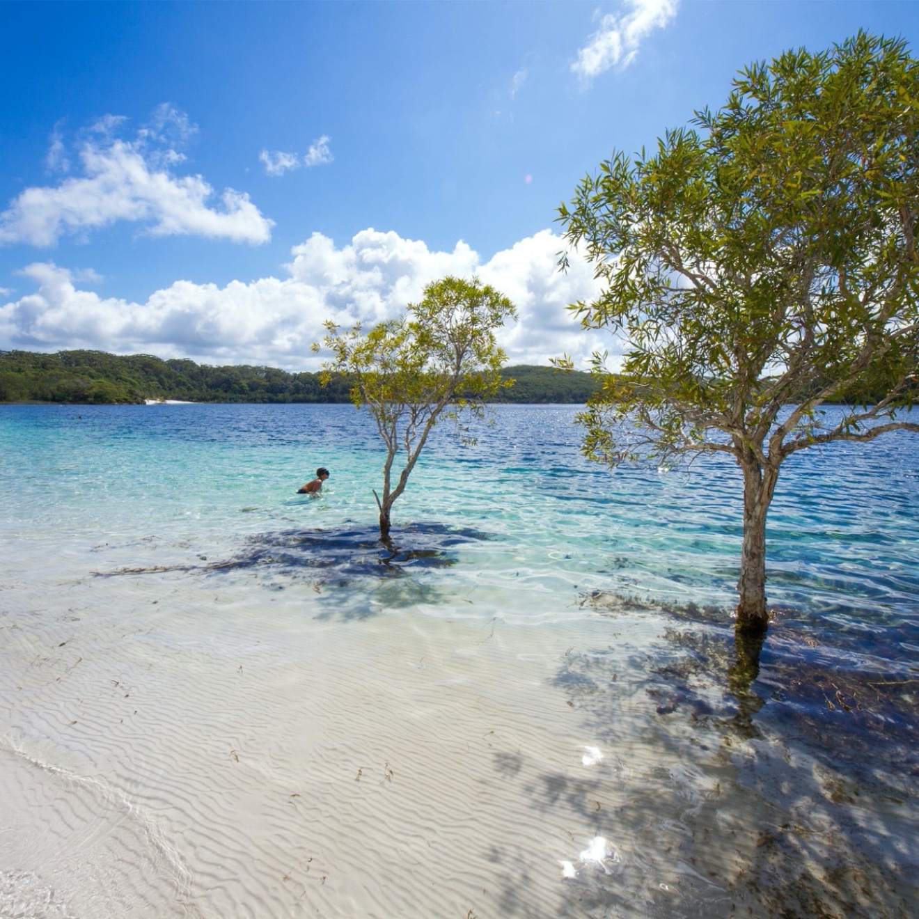 Clear lake with trees emerging from water, surrounded by sandy beach and forested hills.