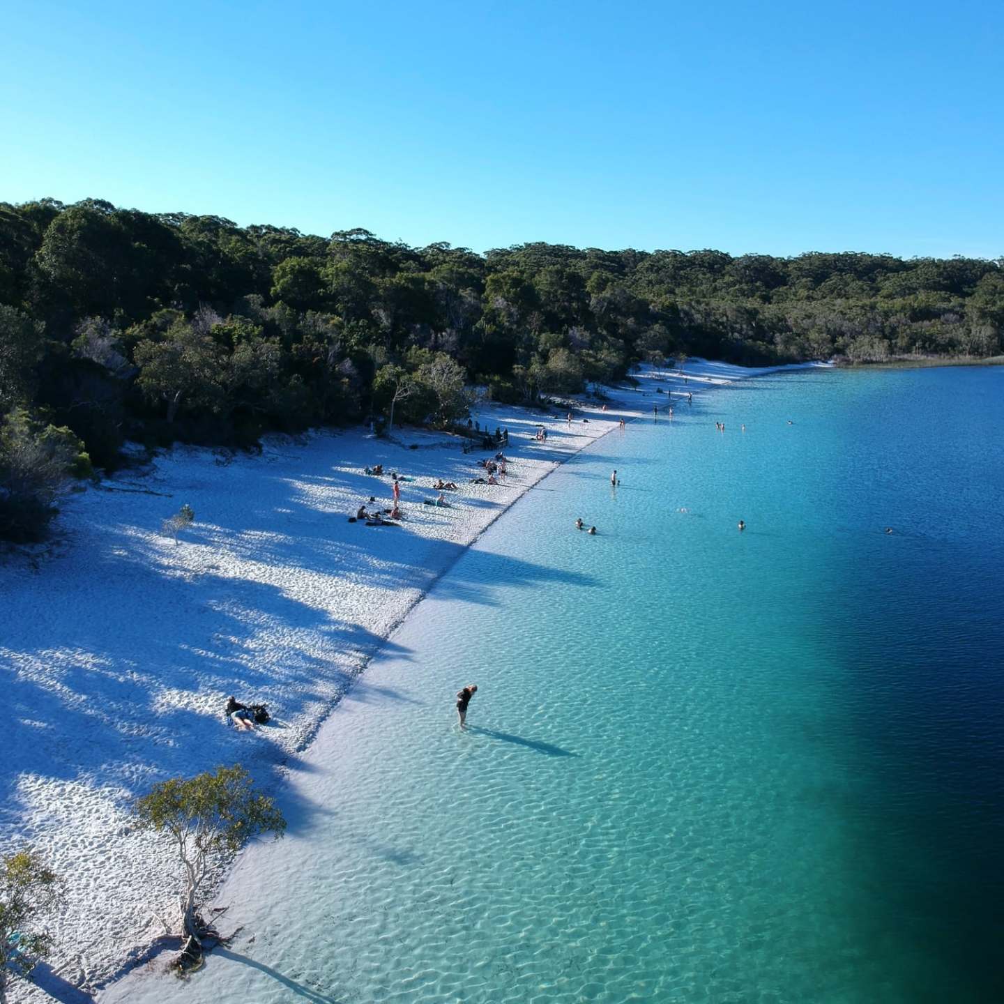Aerial view of a beach with white sand, clear blue water, and surrounding trees.