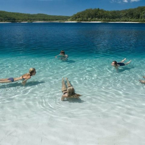 People swimming and relaxing in clear blue lake with forest backdrop.